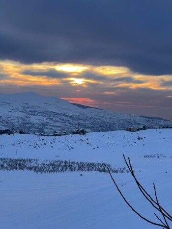 شاهد .. بياريت قطريب تمضي وقتها في أرز لبنان وتنشر هذه الصور الرائعة