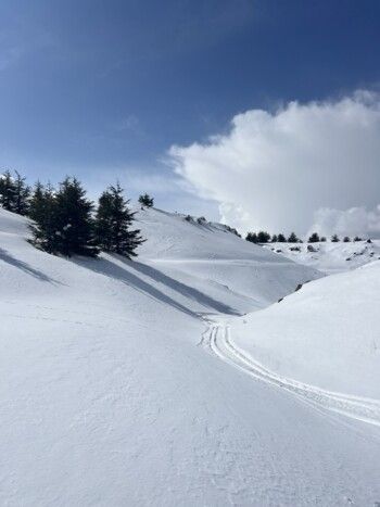 شاهد .. بياريت قطريب تمضي وقتها في أرز لبنان وتنشر هذه الصور الرائعة
