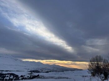 شاهد .. بياريت قطريب تمضي وقتها في أرز لبنان وتنشر هذه الصور الرائعة