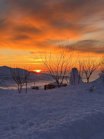 شاهد .. بياريت قطريب تمضي وقتها في أرز لبنان وتنشر هذه الصور الرائعة