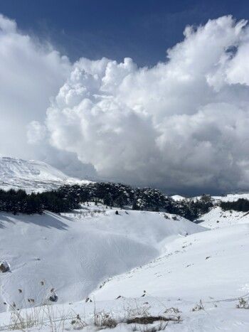 شاهد .. بياريت قطريب تمضي وقتها في أرز لبنان وتنشر هذه الصور الرائعة