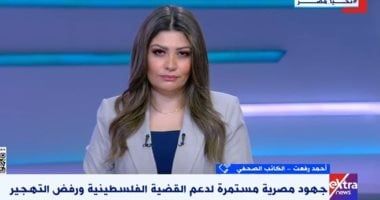 كاتب صحفى: الجهود مصرية مستمرة لدعم القضية الفلسطينية