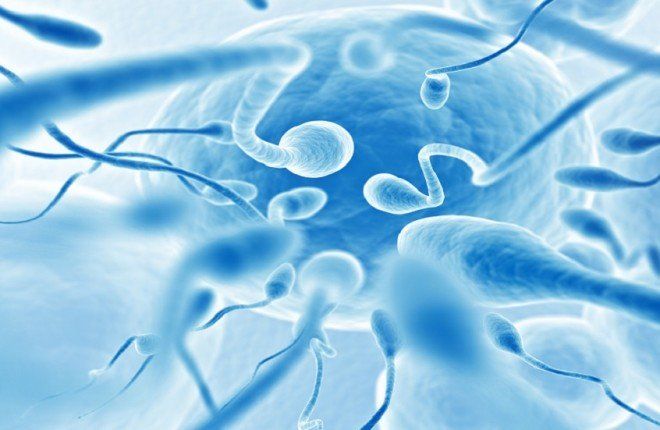 ثورة طبية في الأفق.. روبوتات دقيقة لعلاج الخصوبة وتوصيل الأدوية بدقة متناهية