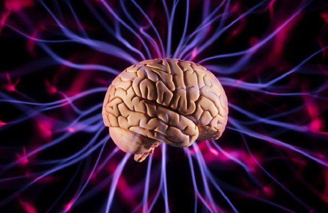 دراسة حديثة تحذر: الإفراط في استهلاك السعرات الحرارية يضعف وظائف الدماغ