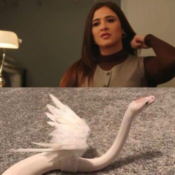 شاهد .. ياسمين عبد العزيز بتعليق لافت عن الحماة