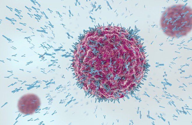 اكتشاف جديد في الجهاز المناعي يمهد الطريق لمضادات حيوية طبيعية