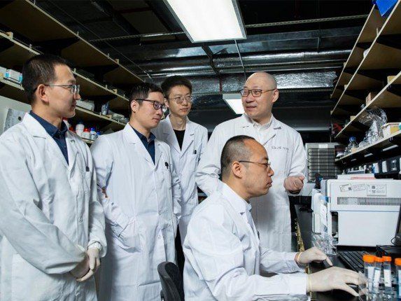 دراسة صينية تتوصل إلى الآلية الرئيسية وراء علاج السرطان بالبكتيريا