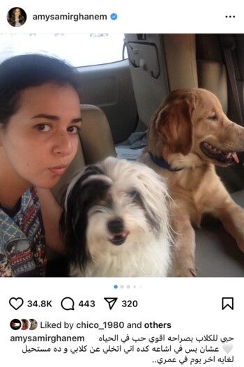 شاهد .. إيمي سمير غانم تنفي هذه الشائعة بعد تأكيد حملها الثاني