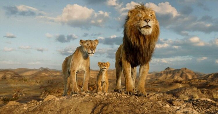 شاهد .. إيرادات قوية لفيلم "Mufasa: The Lion King" منذ طرحه عالميًا