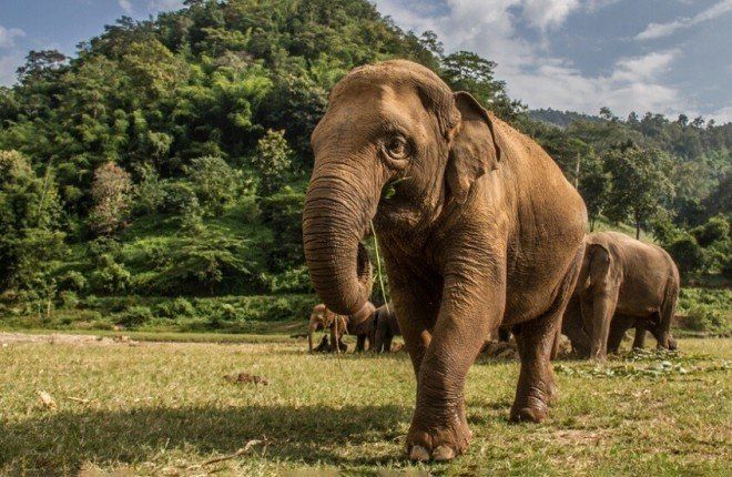 ما علاقة حجم الجسم واحتمال الإصابة بالسرطان؟.. دراسة تجيب