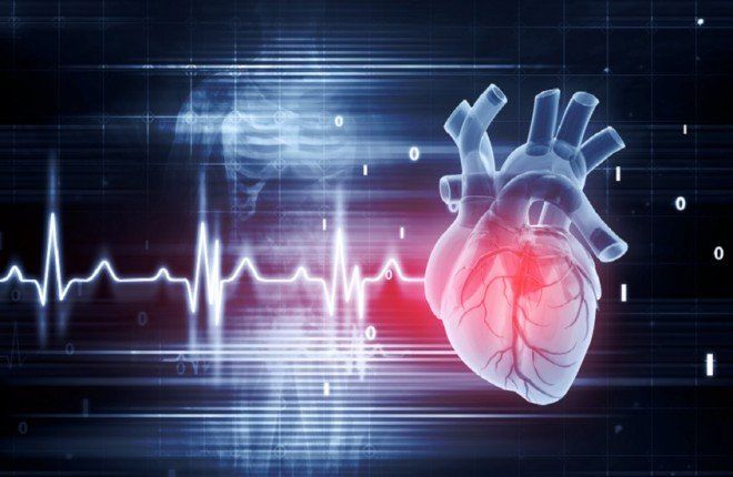 تأثير فصل الربيع على مرضى القلب والأوعية الدموية