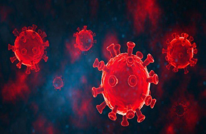 اكتشاف فيروس كورونا جديد في خفافيش البرازيل وسط قلق وترقب عالمي.. هل يشكل تهديداً للبشر؟