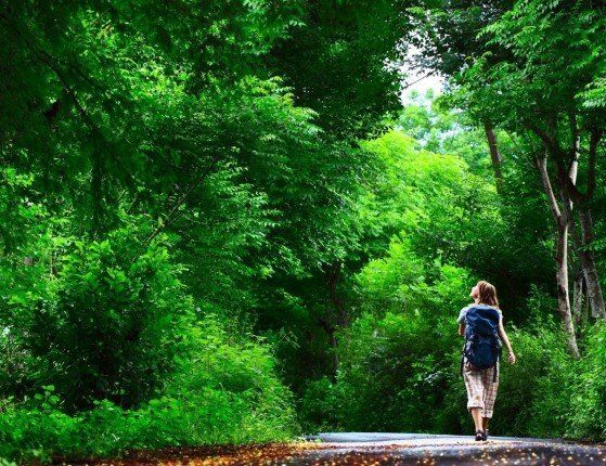 دراسة حديثة: التعرض للطبيعة تقلل استجابة الدماغ للألم