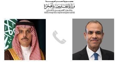 وزير الخارجية يبحث مع نظيره السعودى جهود العودة لاتفاق وقف الحرب فى غزة