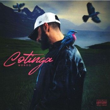 شاهد .. "Cotinga".. نوردو يطلق ألبومًا جريئًا يُحلّق بالموسيقى خارج المألوف