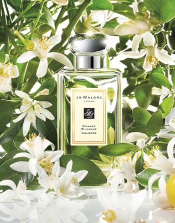 شاهد .. هذان العطران تعشقهما كايت ميدلتون