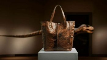 شاهد .. موضة من عصر ما قبل التاريخ .. جلد الديناصورات يغيّر قواعد الفخامة