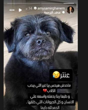 شاهد .. إيمي سمير غانم تودع كلبها بكلمات حزينة