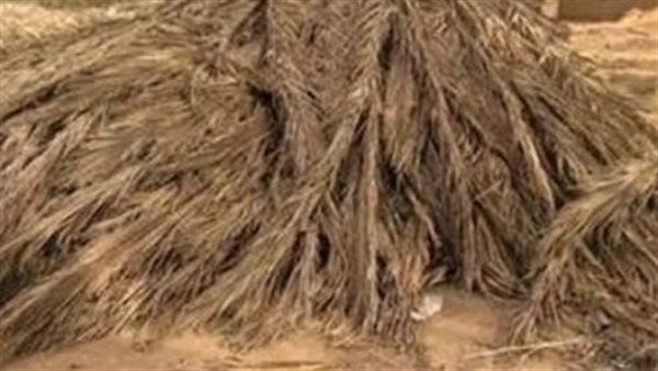 الوادي الجديد تحذر من حرق المخلفات داخل مزارع النخيل| بث مباشر