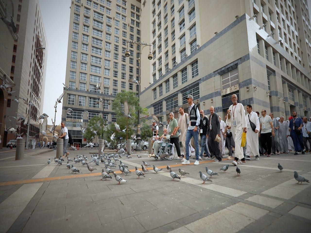 من الروضة إلى البقيع.. بعثة الحج المصرية تسير بالحجاج فى دروب النور