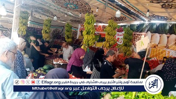 استمرار انطلاق أسواق اليوم الواحد الجمعة والسبت كل أسبوع بمدينة المنصورة