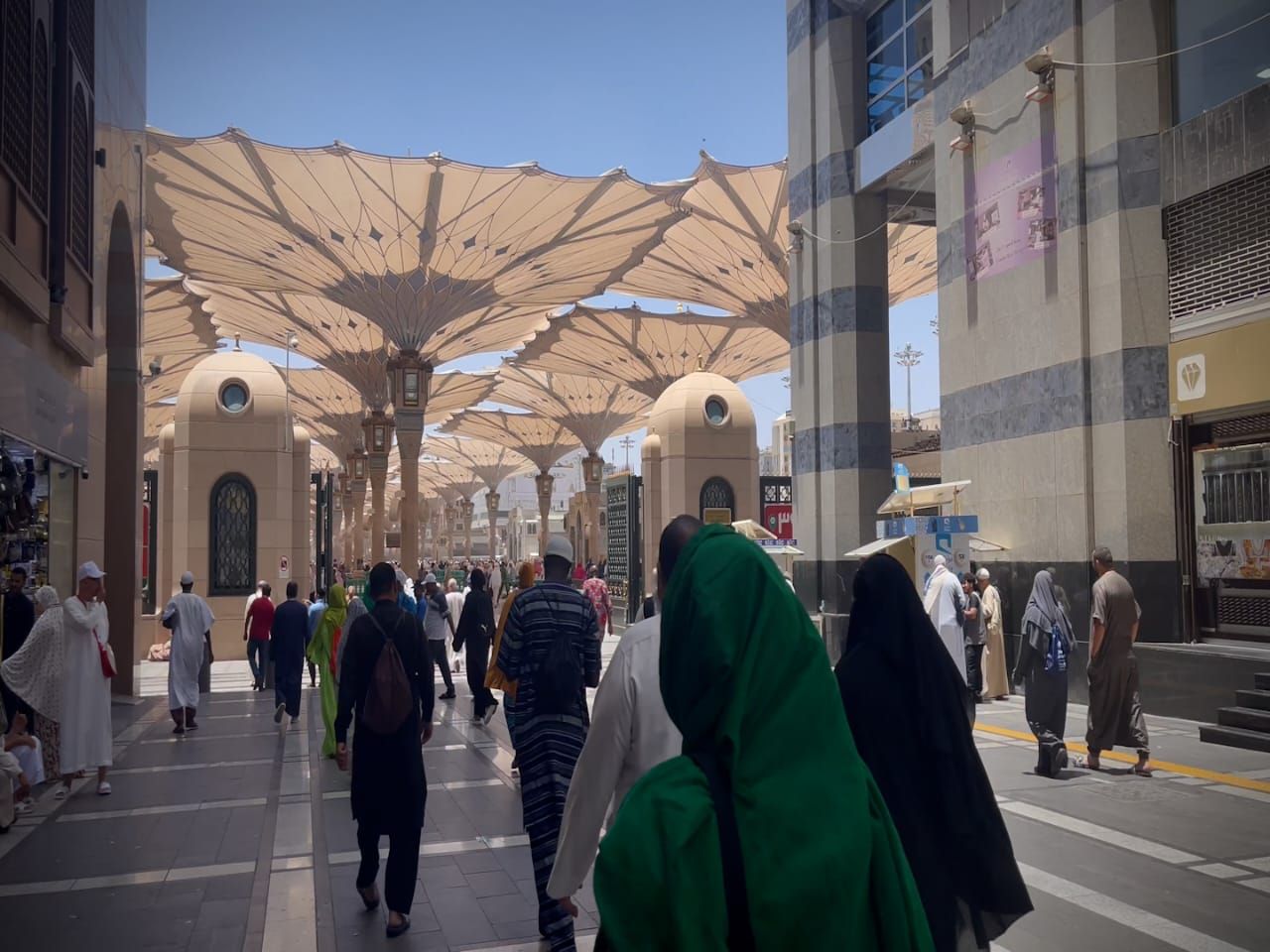 من الروضة إلى البقيع.. بعثة الحج المصرية تسير بالحجاج فى دروب النور