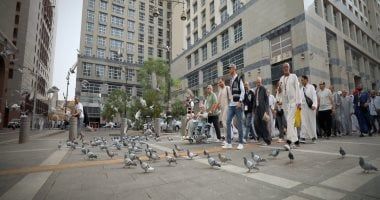 من الروضة إلى البقيع.. بعثة الحج المصرية تسير بالحجاج فى دروب النور