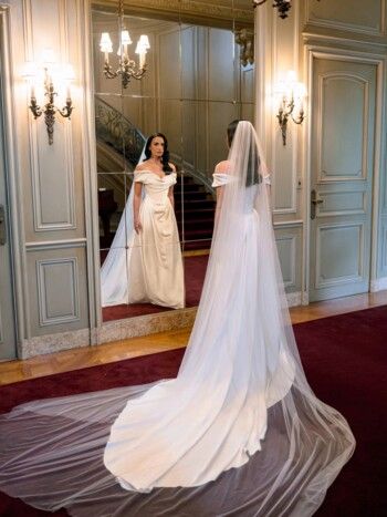 شاهد .. ديمي لوفاتو تدخل القفص الذهبي.. وهذه القصة وراء فستان زفافها