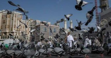 موجة حر شديدة تضرب السعودية مع توافد الحجاج.. وتحذيرات من التعرض للشمس