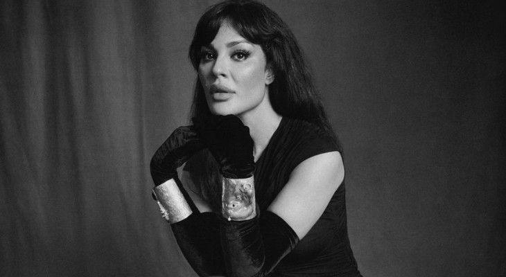 شاهد .. خسارة بآلاف الدولارات.. نادين نسيب نجيم تتعرض للسرقة