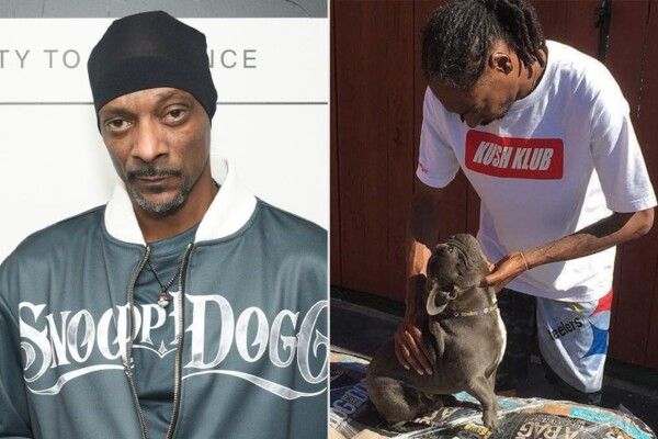 شاهد .. سنوب دوغ يودع كلبه