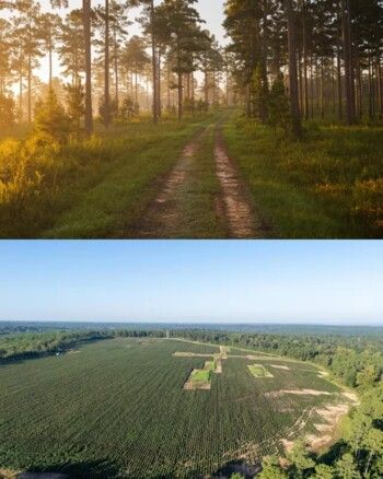 شاهد .. طبيعة خلابة ومساحة كبيرة..جيك بول يستحوذ على هذا العقار الرائع