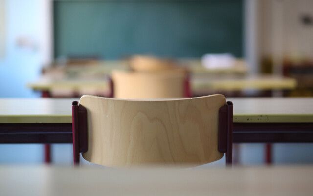 شاهد .. ضد التوقعات .. فنانة عالمية تختار العودة إلى المقاعد الدراسية