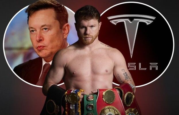 شاهد .. ملاكم عالمي رفض 10 ملايين دولار من إيلون ماسك و السبب!