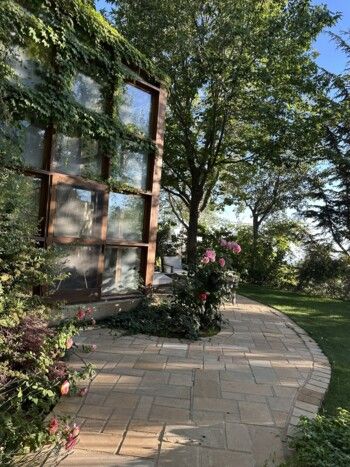 شاهد .. هذا ما قالته ورد الخال عن لبنان