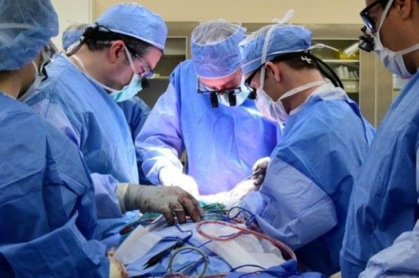 شاهد .. ممثل مصري خضع لعملية جراحية وهذه حالته الصحية الآن