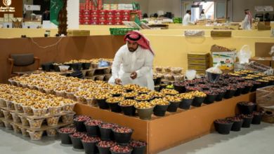 اتفرج – انطلاق موسم عتيقة للتمور بنسخته الرابعة مطلع أغسطس القادم