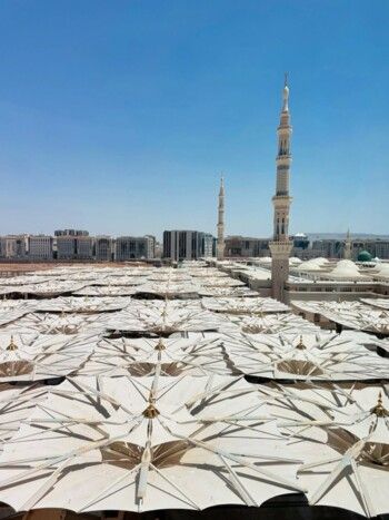 شاهد .. من الطفولة إلى الزواج.. رنا رئيس توثّق قصة حبها برسالة مؤثرة