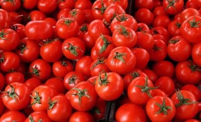 شاهد .. سندويش البندورة يحدث أزمة في لبنان .. وممثل شهير يعلّي الصوت