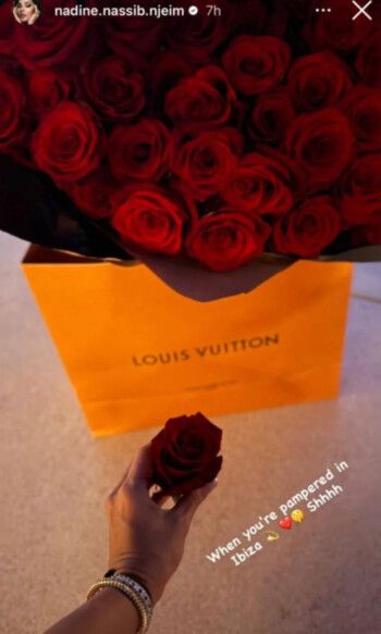 شاهد .. هل تعيش نادين نجيم قصة حب جديدة؟.. صورة تثير التساؤلات!