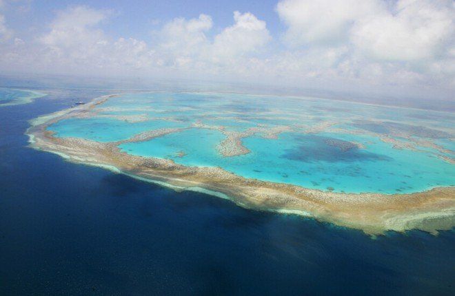 العلماء يطلقون تحذيرًا عاجلًا.. الحاجز المرجاني العظيم يفقد ثلث غطائه خلال عام