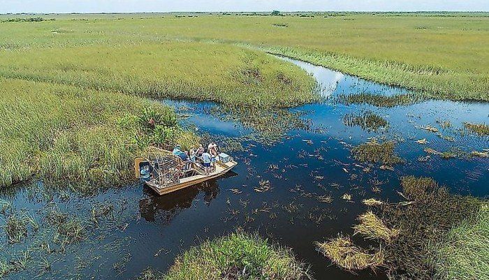 خطر فقدان خمس الأراضي الرطبة يهدد التوازن البيئي والاقتصادي بحلول 2050