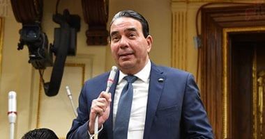 النائب أيمن أبو العلا: العلاقات المصرية السعودية نموذج للأخوة