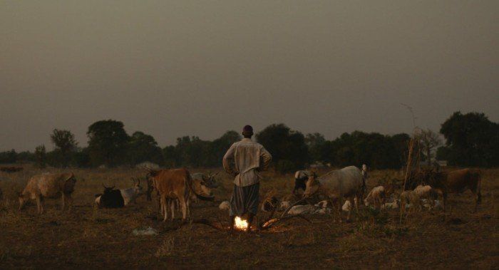 شاهد .. مهرجان الدوحة السينمائي يحتفي بالسرد القصصي العالمي بمجموعة من الأفلام الدولية الطويلة