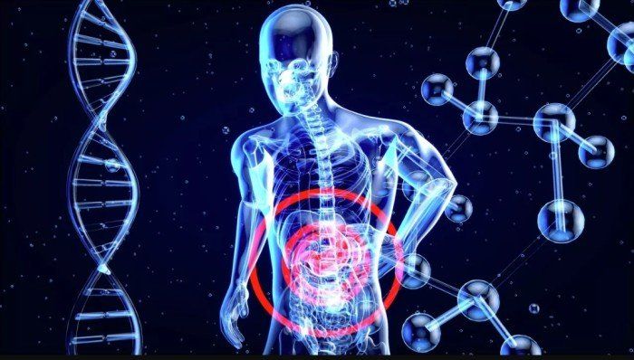 دراسة حديثة تكشف كيف يعيد رفع الأثقال "برمجة" الأمعاء