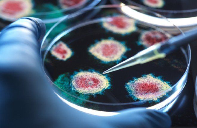 الهيل.. توابل شائعة قد تشكل درعًا طبيعيًا ضد العدوى الفيروسية