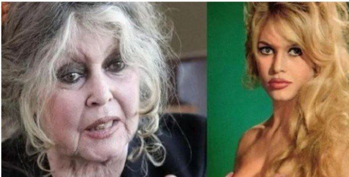 شاهد .. تطورات الحالة الصحية للممثلة الفرنسية بريجيت باردو بعد إصابتها بمرض خطير