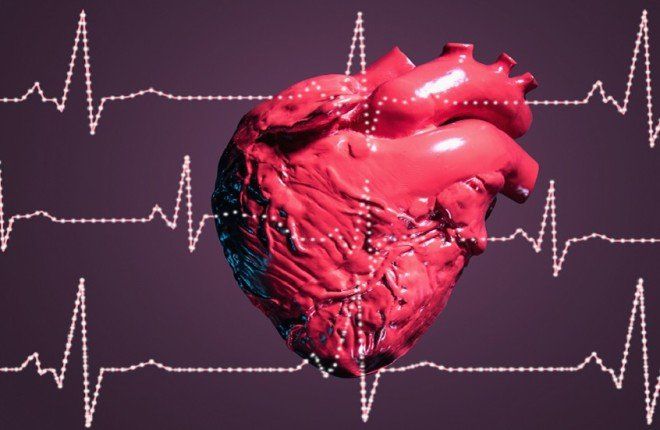 دراسة أمريكية: الفلفل الأسود والقرفة والقرنفل تساهم في إبطاء الشيخوخة وتعزيز صحة القلب