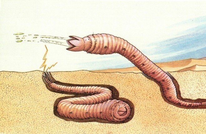 اكتشاف دودة تستخدم الكهرباء الساكنة﻿ والرياح لاصطياد الحشرات بدقة وكفاءة مذهلة