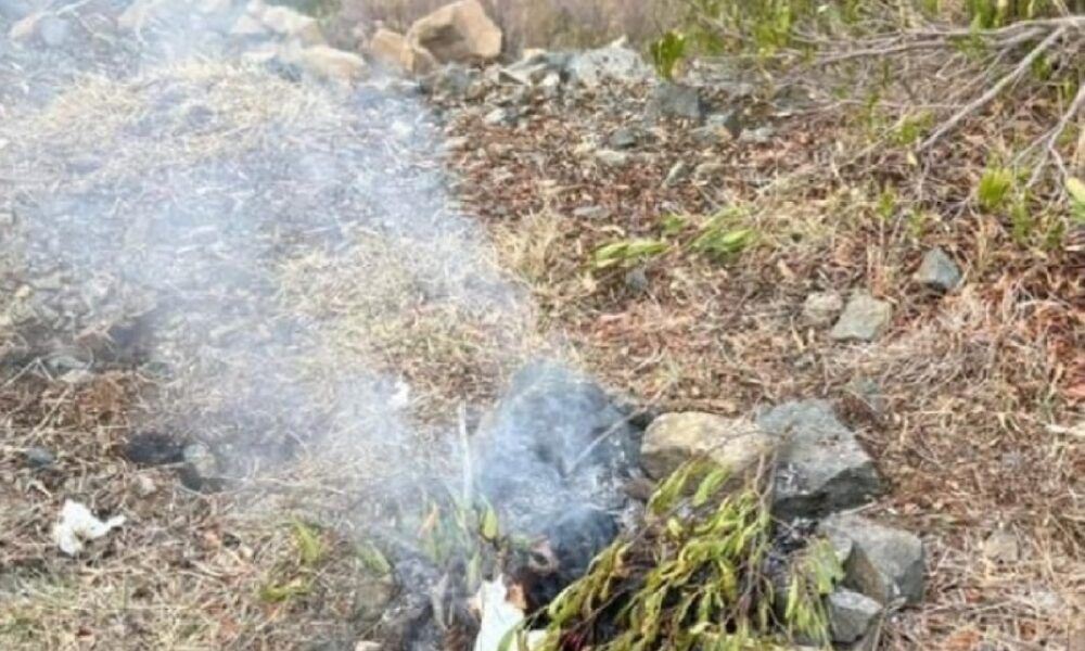 ضبط خليجي لإشعال النار بمناطق غير مخصصة بالبيئة